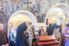 photo_2026-03-01_18-59-16