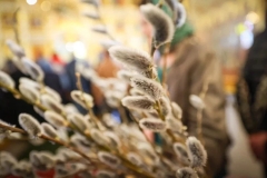 photo_2025-04-15_14-44-58