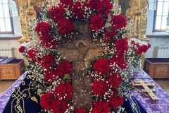 photo_2026-03-14_20-50-16