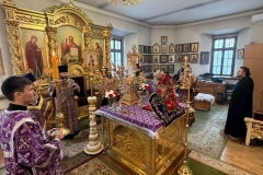 photo_2026-03-14_20-51-04