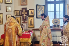 photo_2025-12-14_22-50-45