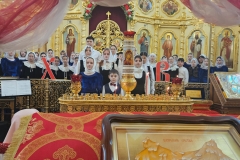 Золотые купола1