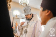 IMG_2937 — средний размер