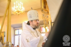 IMG_2947 — средний размер