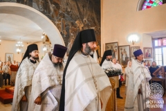 IMG_2961 — средний размер