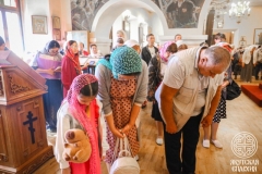 IMG_2982 — средний размер