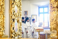 IMG_2988 — средний размер