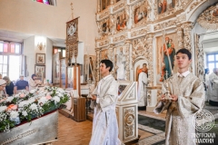 IMG_3006 — средний размер