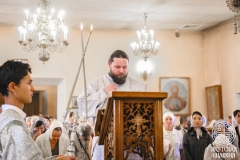 IMG_3009 — средний размер