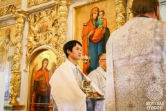 IMG_3034 — средний размер