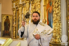 IMG_3051 — средний размер