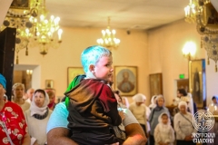 IMG_3053 — средний размер