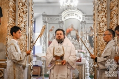 IMG_3073 — средний размер