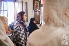 IMG_3086 — средний размер