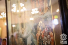 IMG_3099 — средний размер