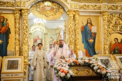 IMG_3105 — средний размер