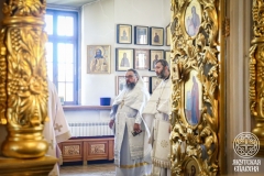 IMG_3133 — средний размер