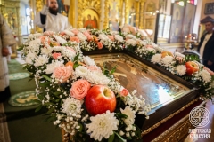 IMG_3134 — средний размер