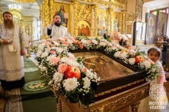 IMG_3135 — средний размер