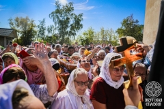 IMG_3292 — средний размер