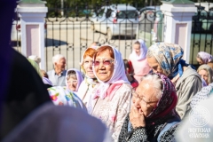 IMG_3330 — средний размер