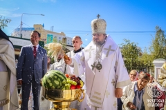 IMG_3364 — средний размер