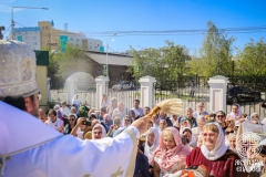 IMG_3387 — средний размер