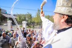 IMG_3397 — средний размер