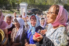 IMG_3431 — средний размер