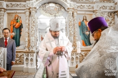 IMG_3470 — средний размер