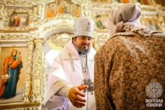 IMG_3516 — средний размер