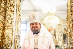 IMG_3532 — средний размер