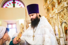 IMG_3539 — средний размер