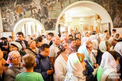 IMG_3543 — средний размер