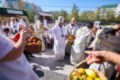 IMG_7774 — средний размер