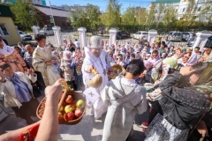 IMG_7775 — средний размер