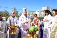 IMG_7778 — средний размер