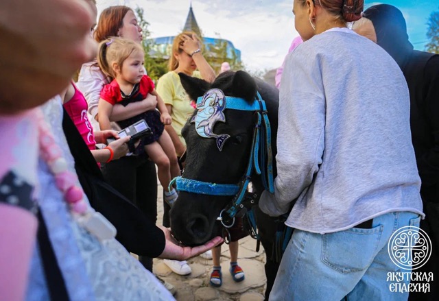 IMG_7765 — средний размер