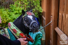 IMG_7752 — средний размер