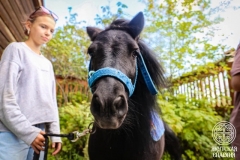 IMG_7753 — средний размер