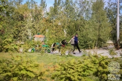 IMG_7757 — средний размер