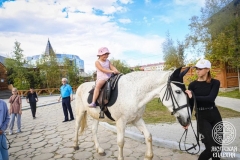 IMG_7762 — средний размер