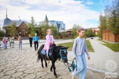 IMG_7763 — средний размер