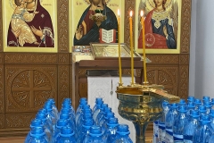 photo_2025-11-21_11-12-46