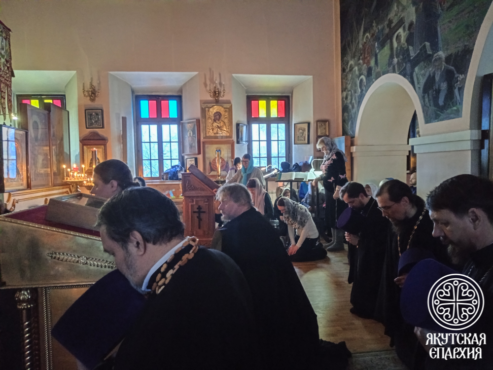 IMG_20260222_170603_289