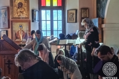 IMG_20260222_170607_631