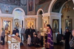 IMG_20260226_082815_695