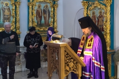 IMG_20250306_173332_edit_97313211732024