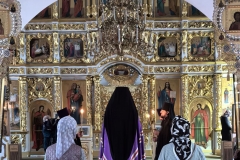 IMG_20260226_225524_808