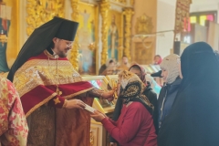 5fed1e54-f787-4ff5-815f-bc0bb61b3301